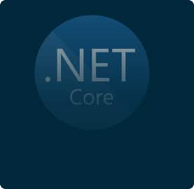 .net development